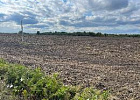 Россельхознадзор за девять месяцев обнаружил 21,1 тыс. га неиспользуемых сельхозземель Россельхознадзор за девять месяцев обнаружил 21,1 тыс. га неиспользуемых сельхозземель